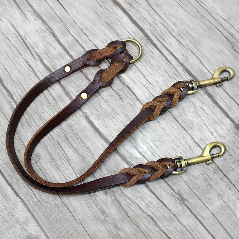 Dog Couple Leash