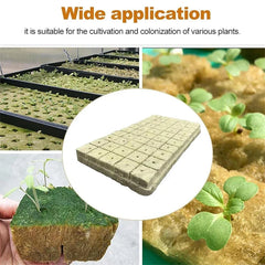 Seed Starter Stone Wool Cube