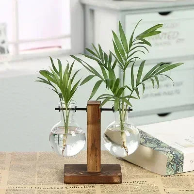 Hydroponic Plant Vases