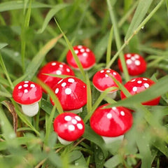 Mini Mushroom Garden Decor