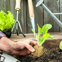 Seed Starter Stone Wool Cube