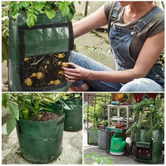 Garden Potato Grow Bag