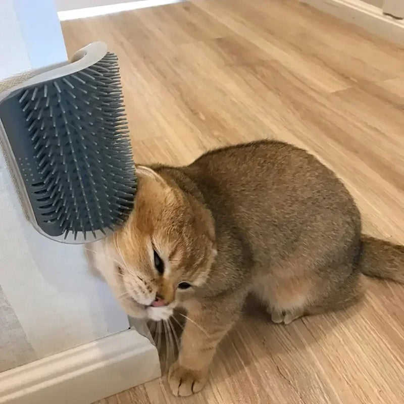 Cat Grooming Brush